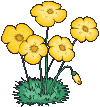 a yellow flower